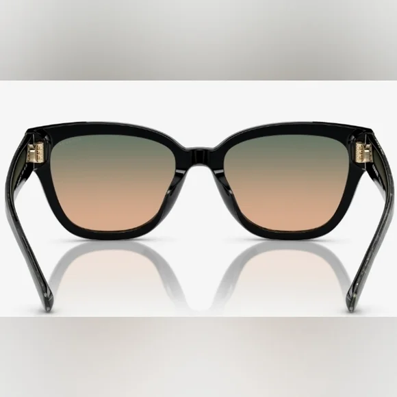 Coach Emerald Signature C sunglasses Coach Hc8379u Emerald Pearl Signature C/Green | Afterpay main image 2